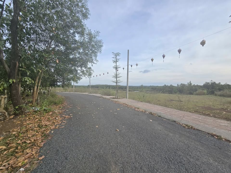 Đất thổ cư 200m² tại Thanh An, Hớn Quản, Bình Phước giá 1.1 tỷ - Đầu tư sinh lời ngay!