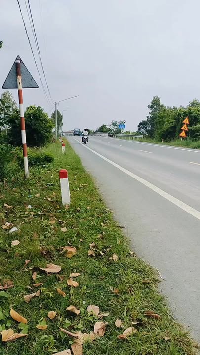 Bán farm sầu riêng tại xã Tân Hòa, TP Cần Thơ, 8300m² - Đầu tư sinh lời hấp dẫn!