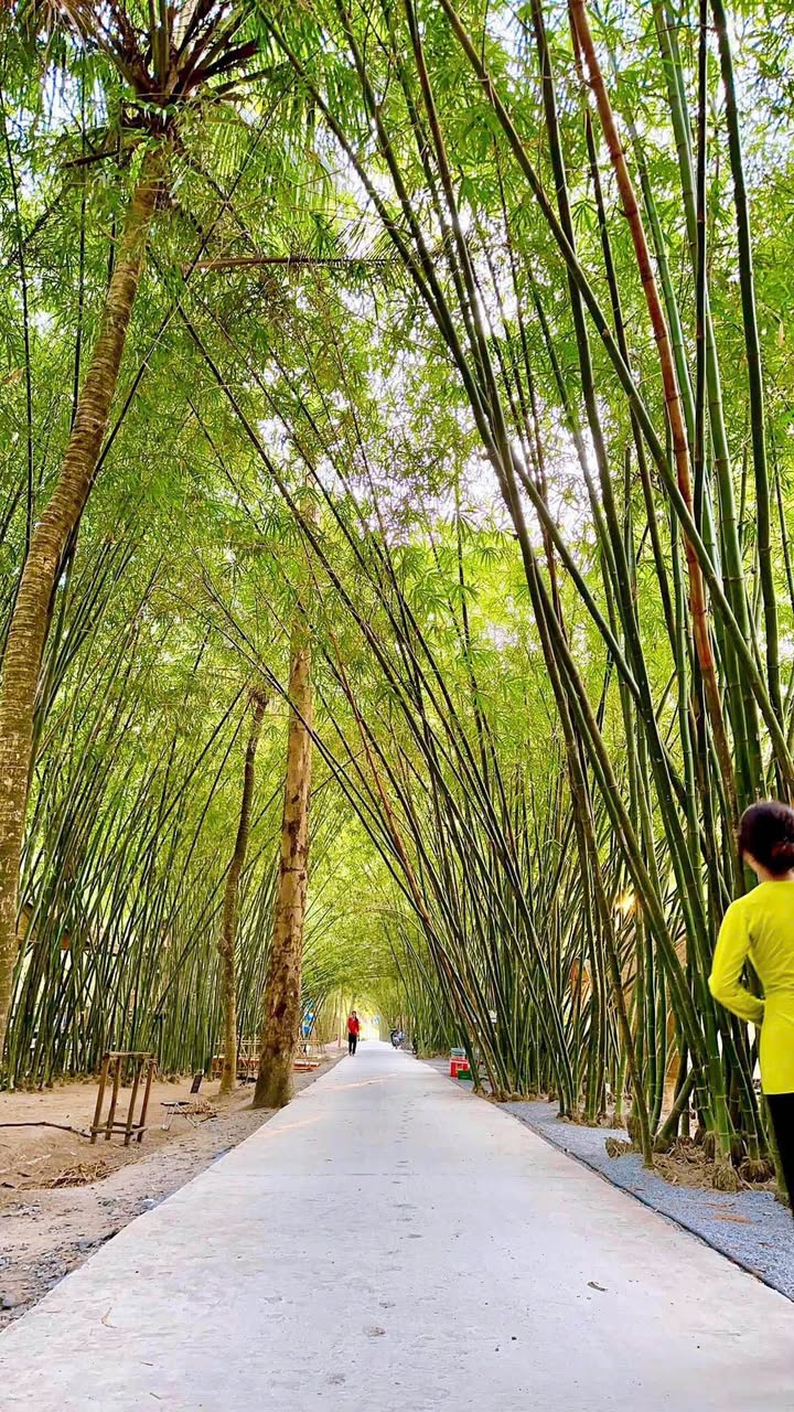 Khu Ẩm Thực Vườn Tre Phụng Hiệp 15.000m² - Cho Thuê/Giao Dịch Sang Lại