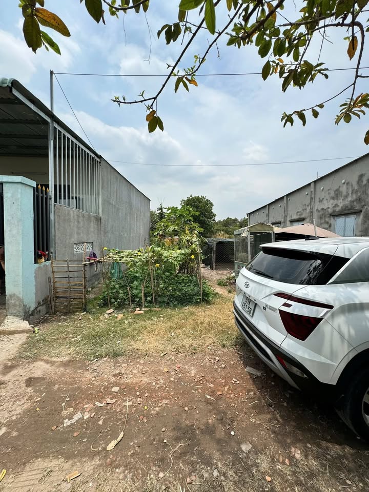 Đất thổ cư 85m² tại đường Nguyễn Thị Lắng, Củ Chi - Giá chỉ 1.69 tỷ, thương lượng!