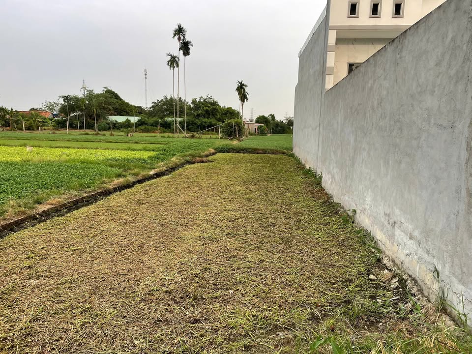 Đất thổ cư 152m² tại Ấp 7, Bình Mỹ, Củ Chi - Giá chỉ 2.15 tỷ, xây dựng tự do!