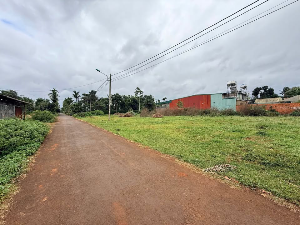 Đất nền D4 Kotam Tân An 60m² giá 1.999 tỷ - Đường nhựa rộng rãi!