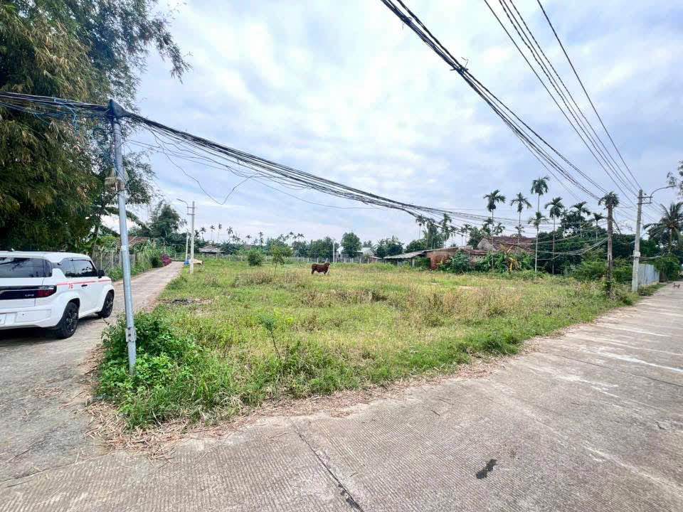 Mảnh vườn An Phú 1000m² giá 1.29 tỷ - Đất ở ngay, ô tô vào tận nơi!