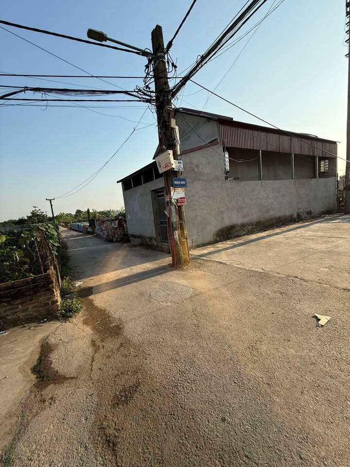 Đất đấu giá Cổ Bi, Gia Lâm 72m² giá chỉ 5 tỷ - Cơ hội đầu tư tuyệt vời!