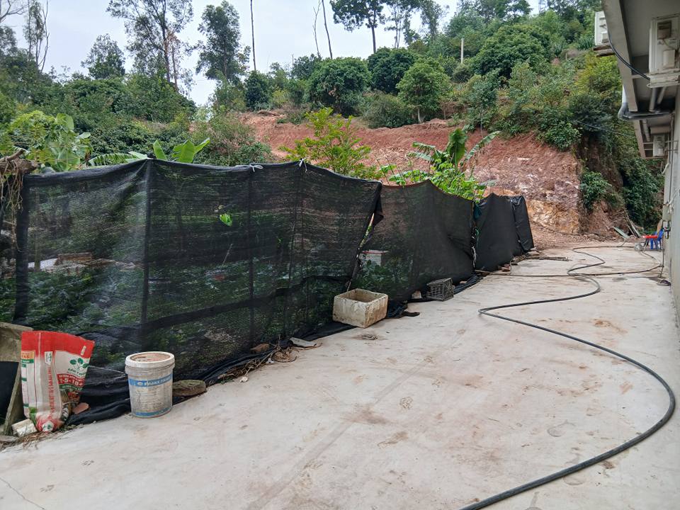 Lô đất Vân Dương Quế Võ 125m² giá 2 tỷ - Sổ đỏ chính chủ, vị trí đắc địa!