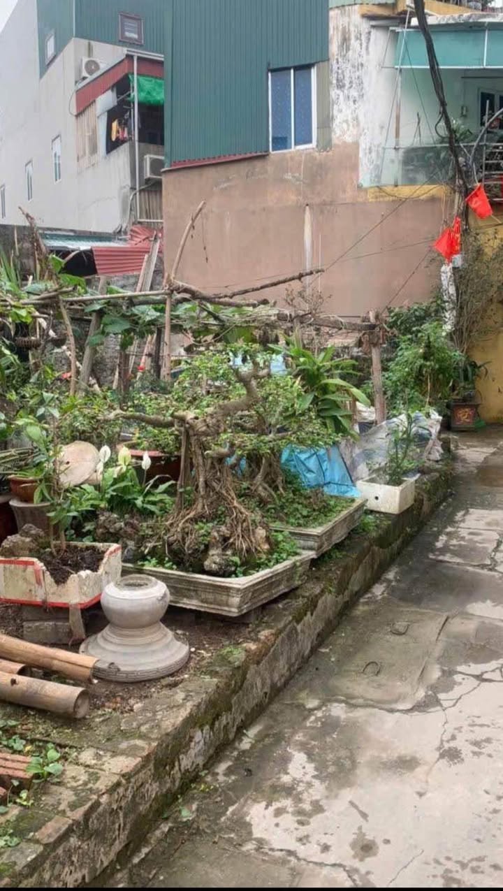 Đất nền Yết Kiêu, Hải Tân, 50m² giá chỉ 700 triệu - Vị trí đắc địa gần chợ!