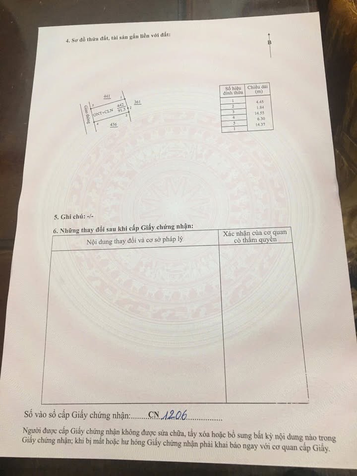 Đất nền 91.3m² Đông Long - Tiền Hải giá 800 triệu - Cơ hội đầu tư sinh lời!