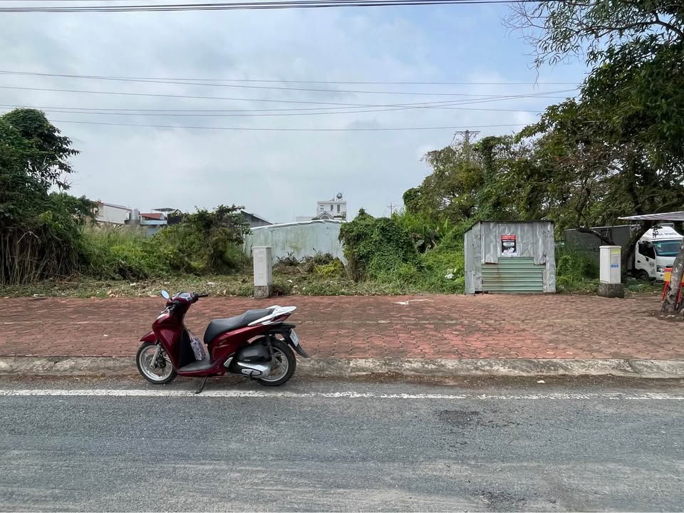 Đất nền mặt tiền Vành Đai 2 Tân Thành 117.6m² giá 3 tỷ - Đầu tư sinh lời ngay!