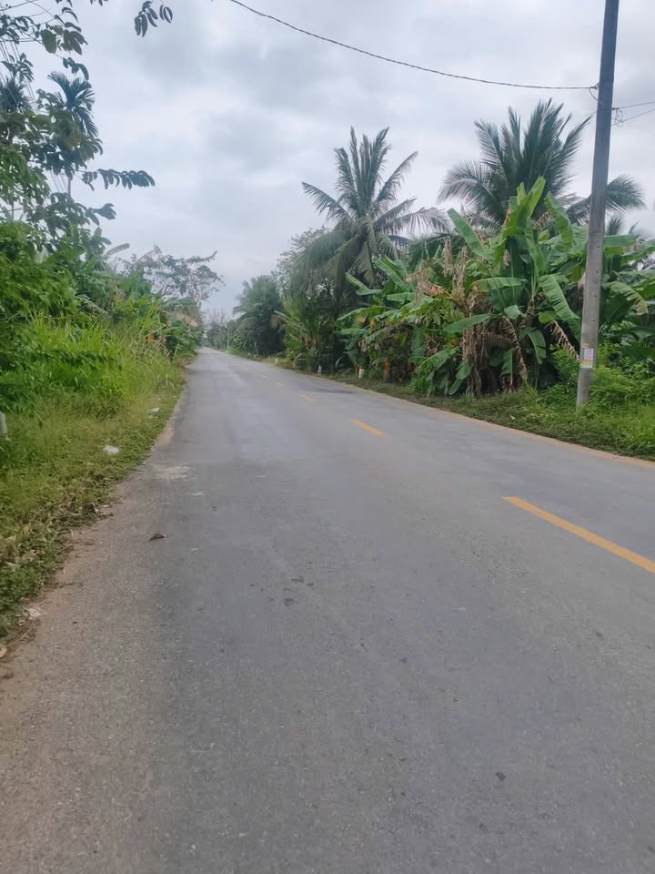 Đất nền 2,8 công tại xã Mỹ Hòa, Ba Tri, Bến Tre - Giá chỉ 3.5 tỷ, không thương lượng!