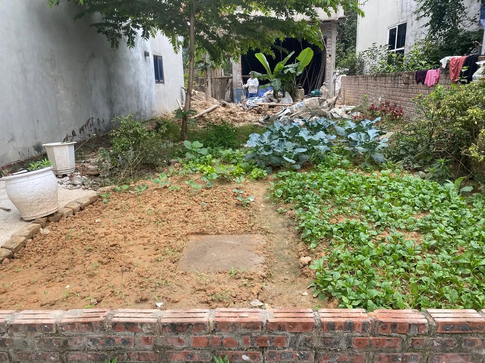 Đất thổ cư Hương Đình, Sóc Sơn 77.6m² giá 3.1 tỷ - Gần sân bay Nội Bài!