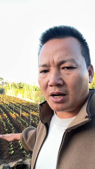 Đất nền 150m² Tân Hội, Đức Trọng, Lâm Đồng - Sổ đỏ chính chủ, giá 2.9 tỷ!