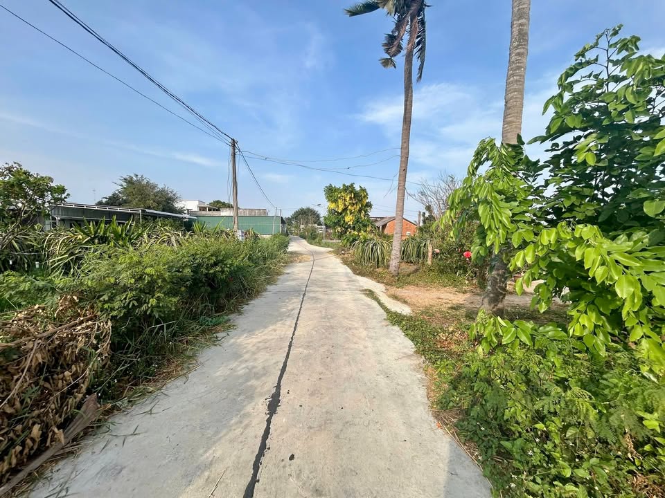 Đất thổ cư 218m² hướng Tây Bắc tại xã Hàm Cường, Bình Thuận - Giá 520 triệu, sẵn sàng xây dựng!