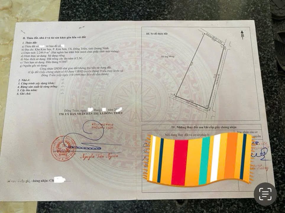 Đất nền Kim Sen, Kim Sơn, Đông Triều 2250m² - Cơ hội đầu tư sinh lời vượt trội!