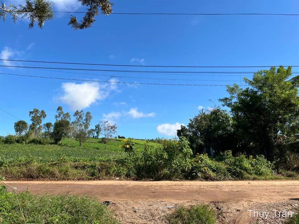 Đất nền Đơn Dương 100m² giá 750 triệu - Cơ hội đầu tư sinh lời cao!