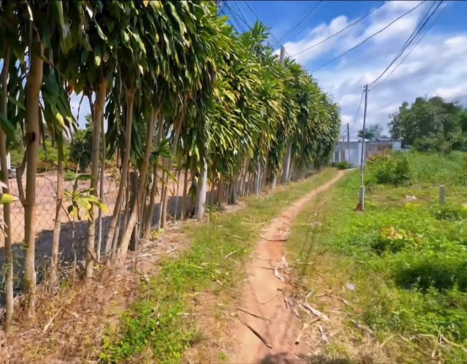 Đất thổ cư 145m² xã Phú Hòa, Đồng Nai - Giá chỉ 380 triệu - Sổ đỏ chính chủ!