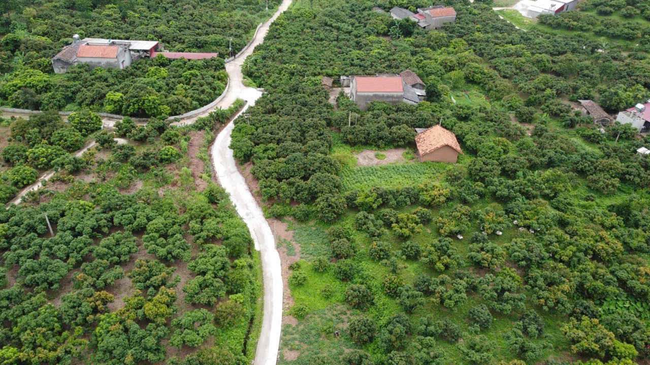 Đất vườn Tân Quang Lục Ngạn 2000m² giá 1.1 tỷ - Mặt tiền đẹp, chính chủ bán!