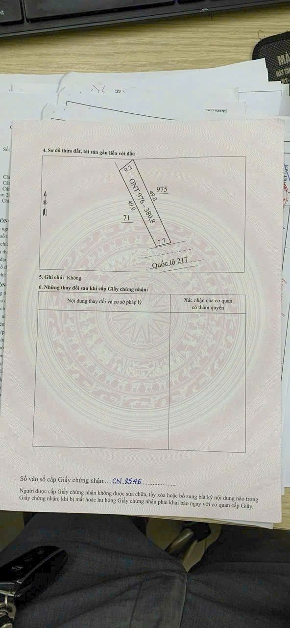 Đất nền Quốc lộ 217, Cẩm Thạch, 377.3m² - Giá chỉ 1.1 tỷ, cơ hội đầu tư tuyệt vời!