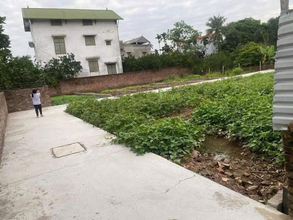 Đất thổ cư Chương Lộc, Thường Tín 52,5m² giá thỏa thuận - Ô tô vào tận nơi!