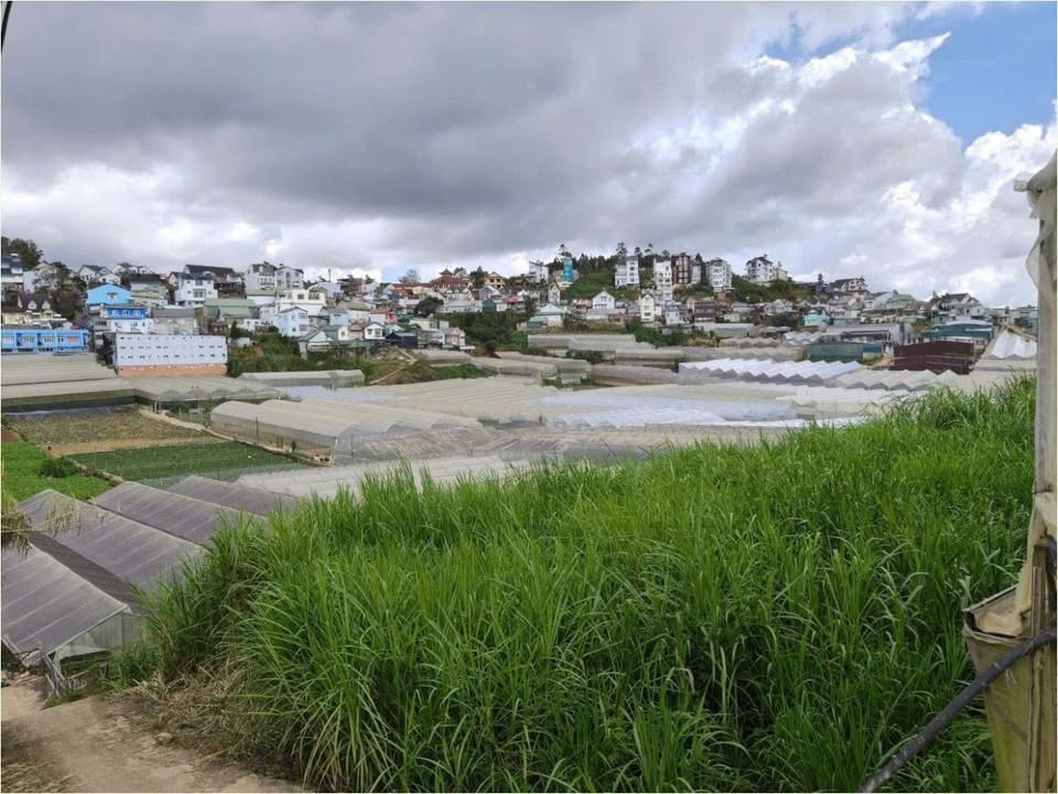 Lô đất đẹp 665m² tại P7 Đà Lạt giá 6.5 tỷ - Đầu tư sinh lời ngay!