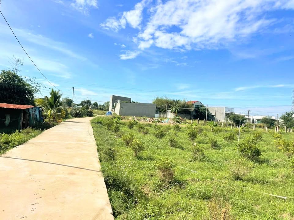 Đất nền Phong Nẫm, Phan Thiết 5400m² giá 1.7 tỷ - Cơ hội đầu tư sinh lời!