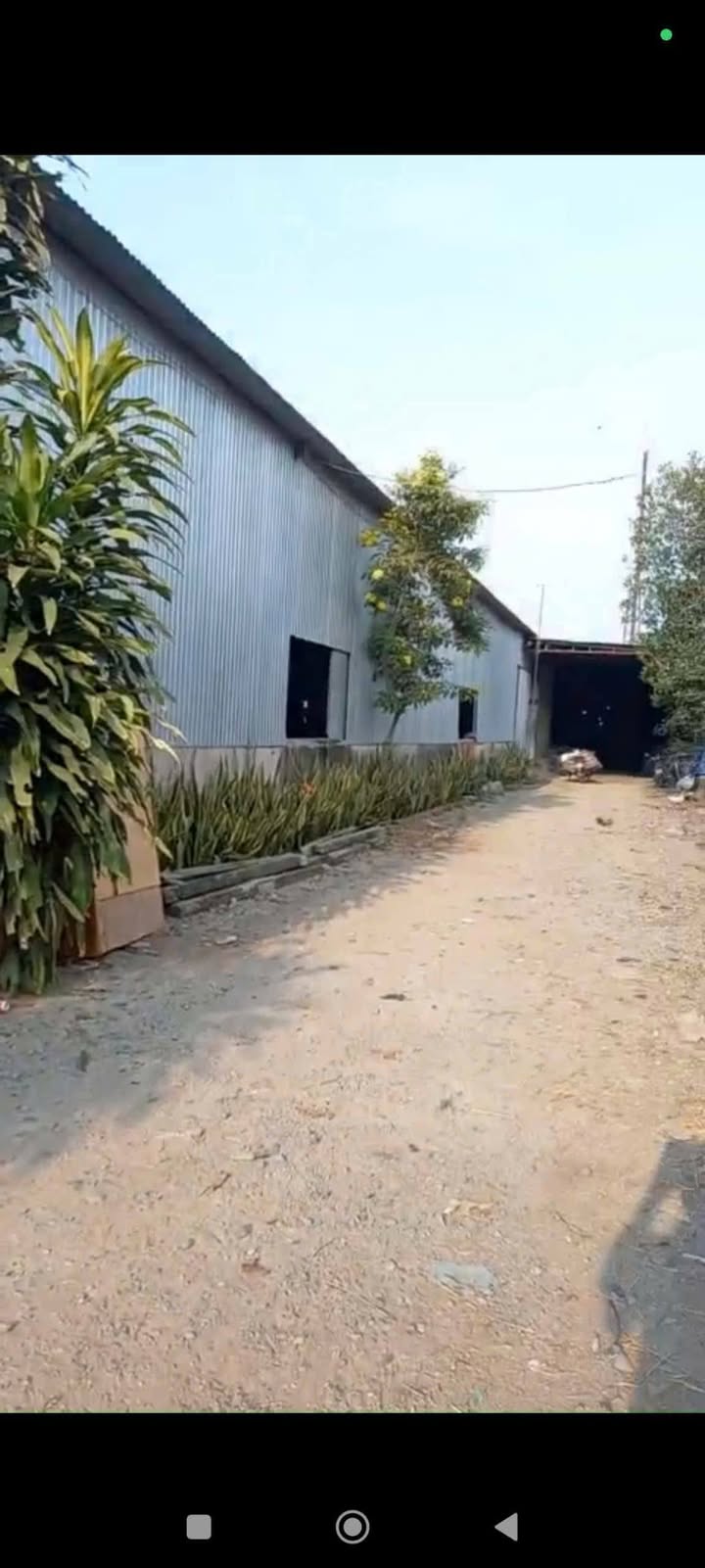 Nhà xưởng 6800m² tại TL 919, Vĩnh Thạnh - Cơ hội đầu tư sinh lời!