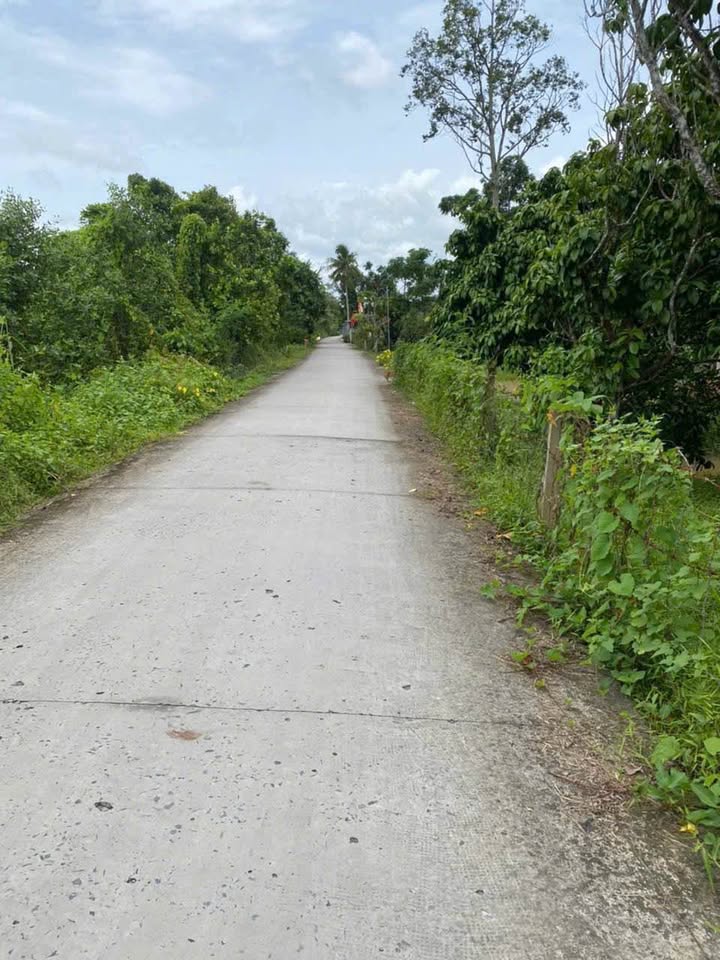 Đất vườn nghỉ dưỡng Nhơn Nghĩa, Phong Điền 4774m² giá 9.548 tỷ - Cơ hội đầu tư tuyệt vời!