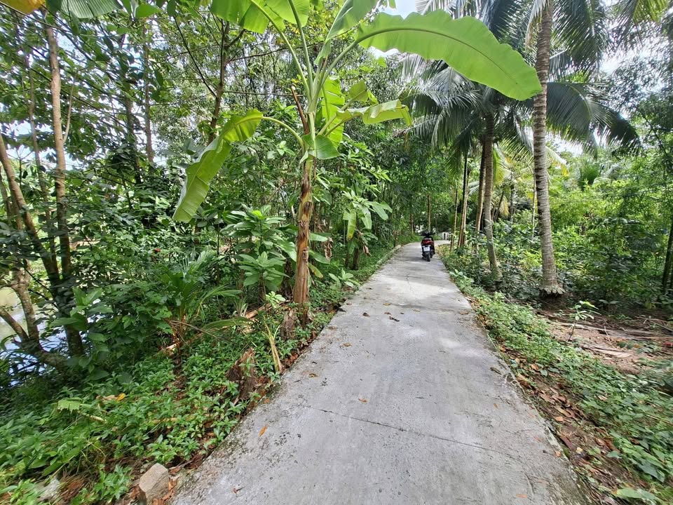 Đất nền Phong Điền Cần Thơ 229m² giá 850 triệu - Cơ hội đầu tư hấp dẫn!