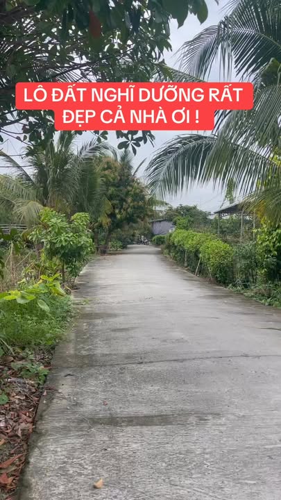 Đất nền mặt tiền Thới Long, Ô Môn, Cần Thơ 546m² - Giá 2,1 tỷ, cơ hội đầu tư tuyệt vời!