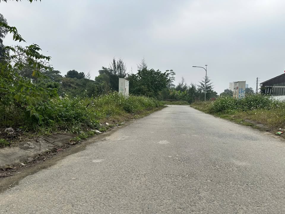 Đất kinh doanh lô góc 155m² tại Quán Bàu - Giá thỏa thuận, vị trí đắc địa!