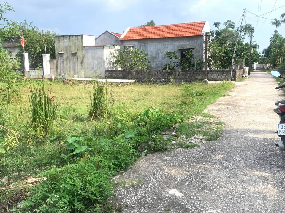 Đất thổ cư 130m² tại Thái Hòa, Triệu Sơn - Mặt tiền 2 hướng, giá tốt!