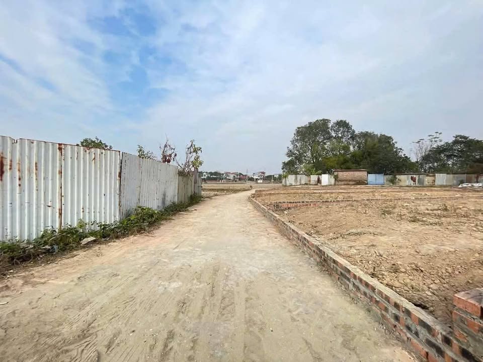 Đất nền Phù Linh Sóc Sơn 83m² giá 1.8 tỷ - Tiềm năng đầu tư vượt trội!