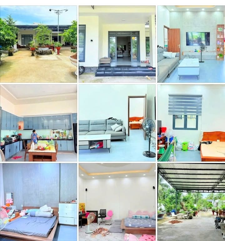 Nhà sân vườn Phú Tân Bến Tre 960m² giá 3 tỷ - Bán gấp trong tuần!