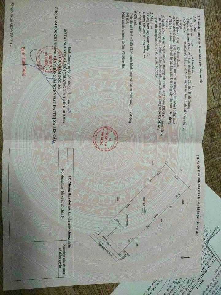 Đất thổ cư 10000m² đường DH 605, Bến Cát - Giá chỉ 6 tỷ