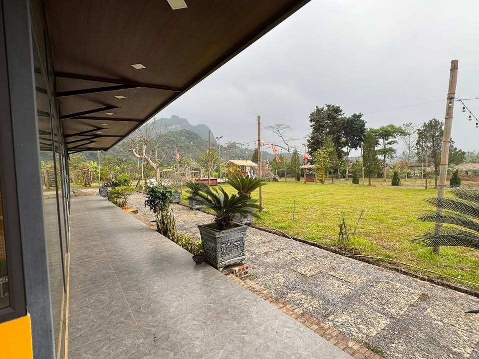 Farm tại Phong Quang, Vị Xuyên 10,000m² giá thỏa thuận - Cơ hội đầu tư du lịch hấp dẫn!