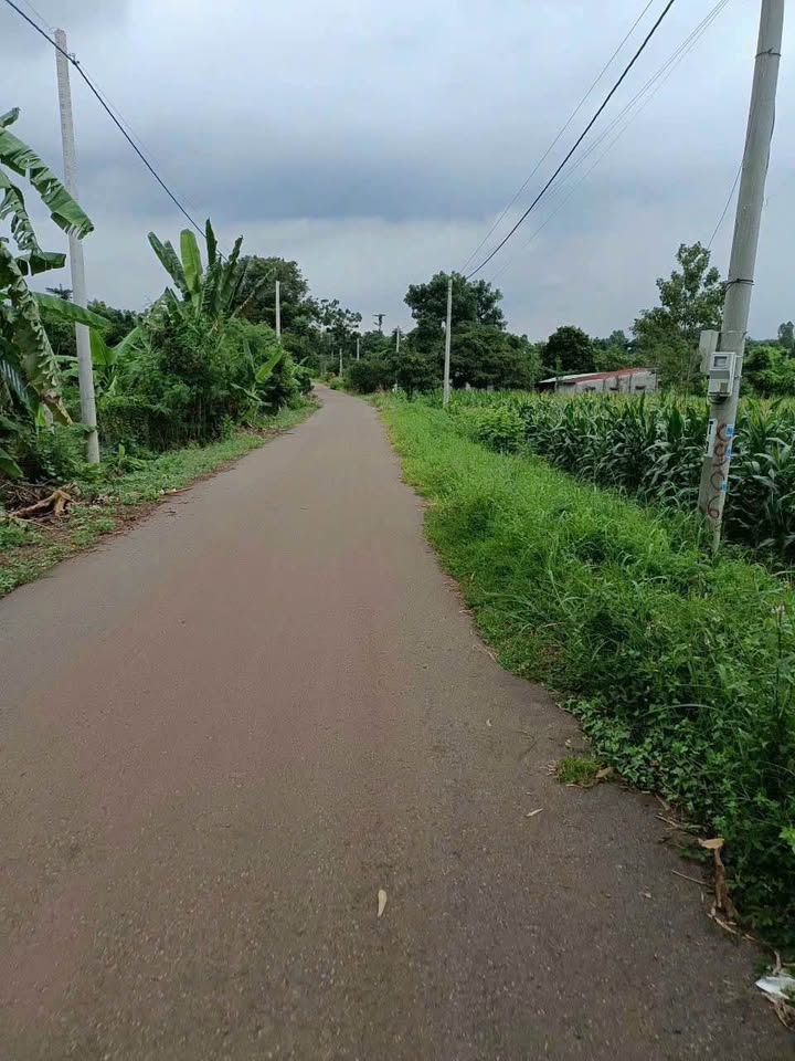 Đất nền 3600m² Nghĩa Thành, Châu Đức, Bà Rịa - Vũng Tàu chỉ 4 tỷ - Cơ hội đầu tư hấp dẫn!