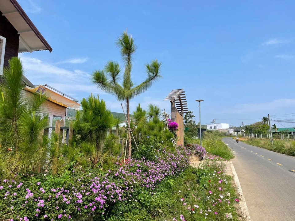 Homestay nghỉ dưỡng Đinh Công Tráng Bảo Lộc 578m² giá 2.8 tỷ - Đầu tư sinh lời lý tưởng!