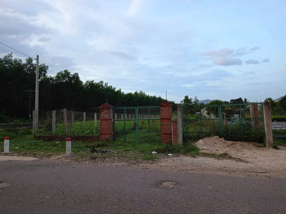 Đất thổ cư 570m² tại An Long 2, Vân Canh - Phù hợp kinh doanh, giá tốt 2.4 tỷ!