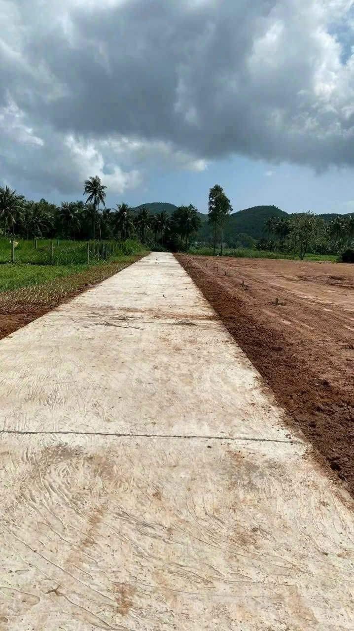 Đất nền liền kề Hoài Mỹ, Hoài Nhơn 150m² giá 400 triệu - Cơ hội đầu tư sinh lời!