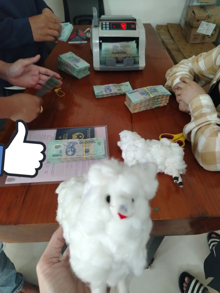 Đất thổ cư 165m² tại Gia Tân 3 - Giá chỉ 600 triệu, sổ riêng!