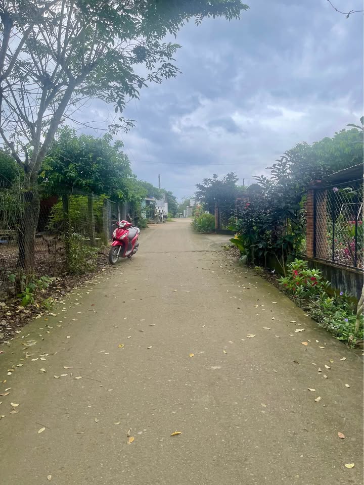 Đất thổ cư Diên Đồng, Diên Khánh 130m² giá 480 triệu - Cơ hội đầu tư tốt!