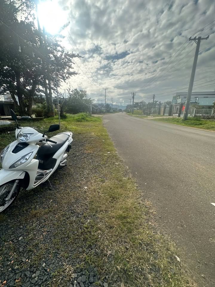 Cho thuê nhà gỗ lô góc Bảo Lộc 1000m² - Mặt tiền thông thoáng, thuận tiện kinh doanh!