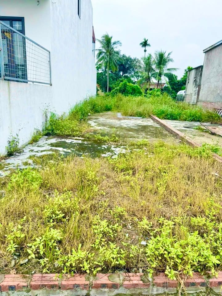 Đất nền An Quang An Lão 108m² giá 1 tỷ - Tiềm năng tăng giá cao!