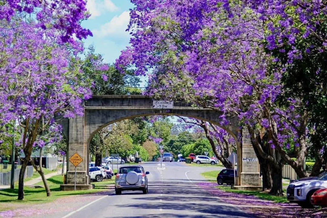 Cho thuê nhà mặt tiền Vườn Lài, Tân Phú 112m² - Vị trí đắc địa cho kinh doanh!