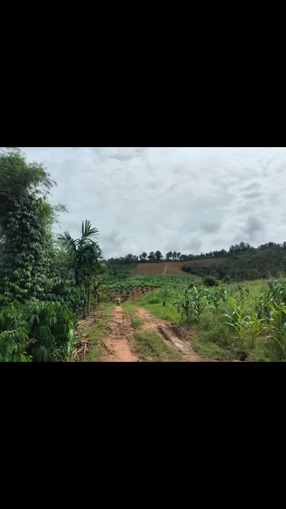 Đất nền Ea Kiết Cư M'gar 18000m² giá 100 triệu - Đầu tư sinh lời ngay!