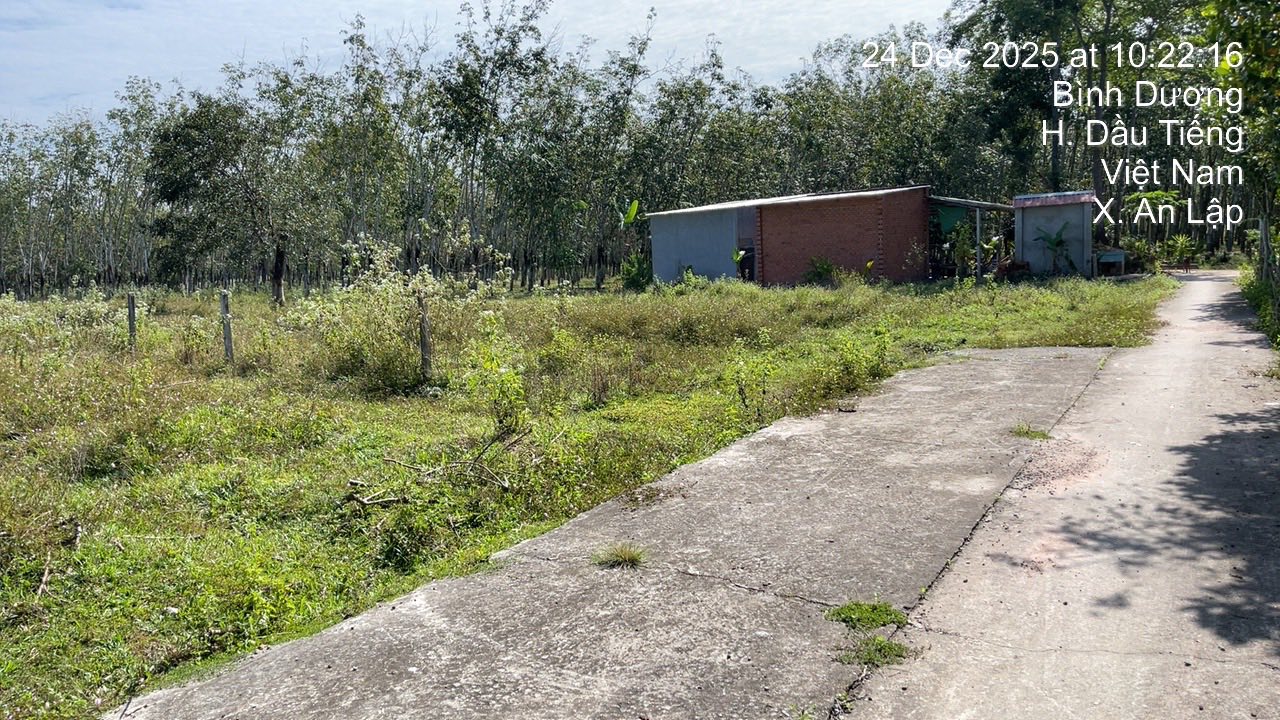 Đất nền An Lập, Dầu Tiếng 7.8x128m giá chỉ 700 triệu - Cơ hội đầu tư sinh lời!