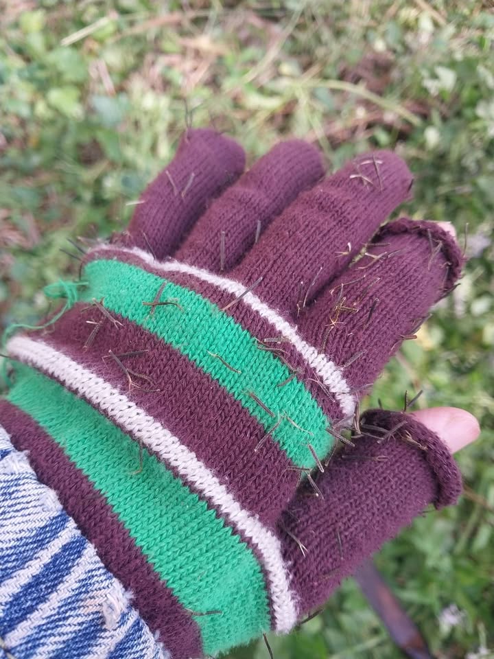 Mặt tiền FrontHouse ĐT 767, Tân An, Vĩnh Cửu, 228m² - Kinh doanh sầm uất!