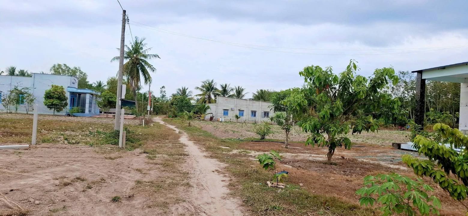 Đất nền Đồng Khởi Châu Thành 1300m² giá chỉ 200 triệu - Cơ hội đầu tư không thể bỏ lỡ!