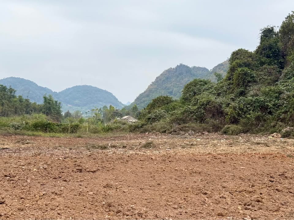 Lô đất mặt đường tránh Sơn La 1000m² giá 2.1 tỷ - Cơ hội đầu tư hấp dẫn!