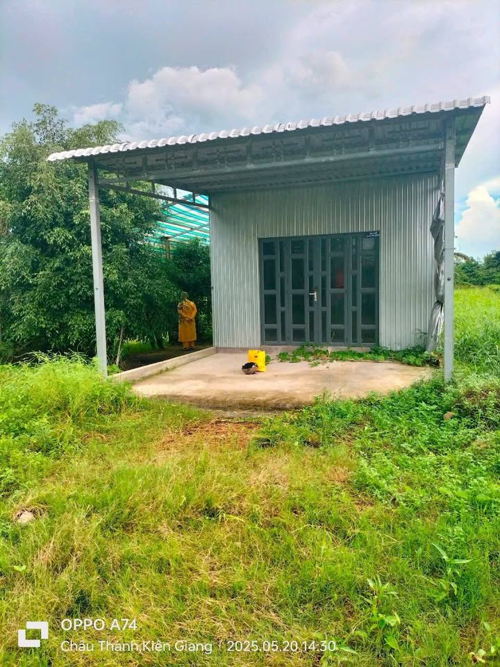 Đất nông nghiệp 2.503m² tại ấp Minh Tân, Kiên Giang giá chỉ 1.85 tỷ - Cơ hội đầu tư lý tưởng!