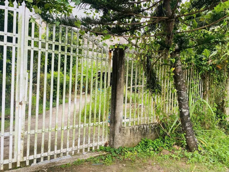 Đất nền Vĩnh Thông, Rạch Giá 1295m² giá 2.9 tỷ - Đầu tư sinh lời ngay!